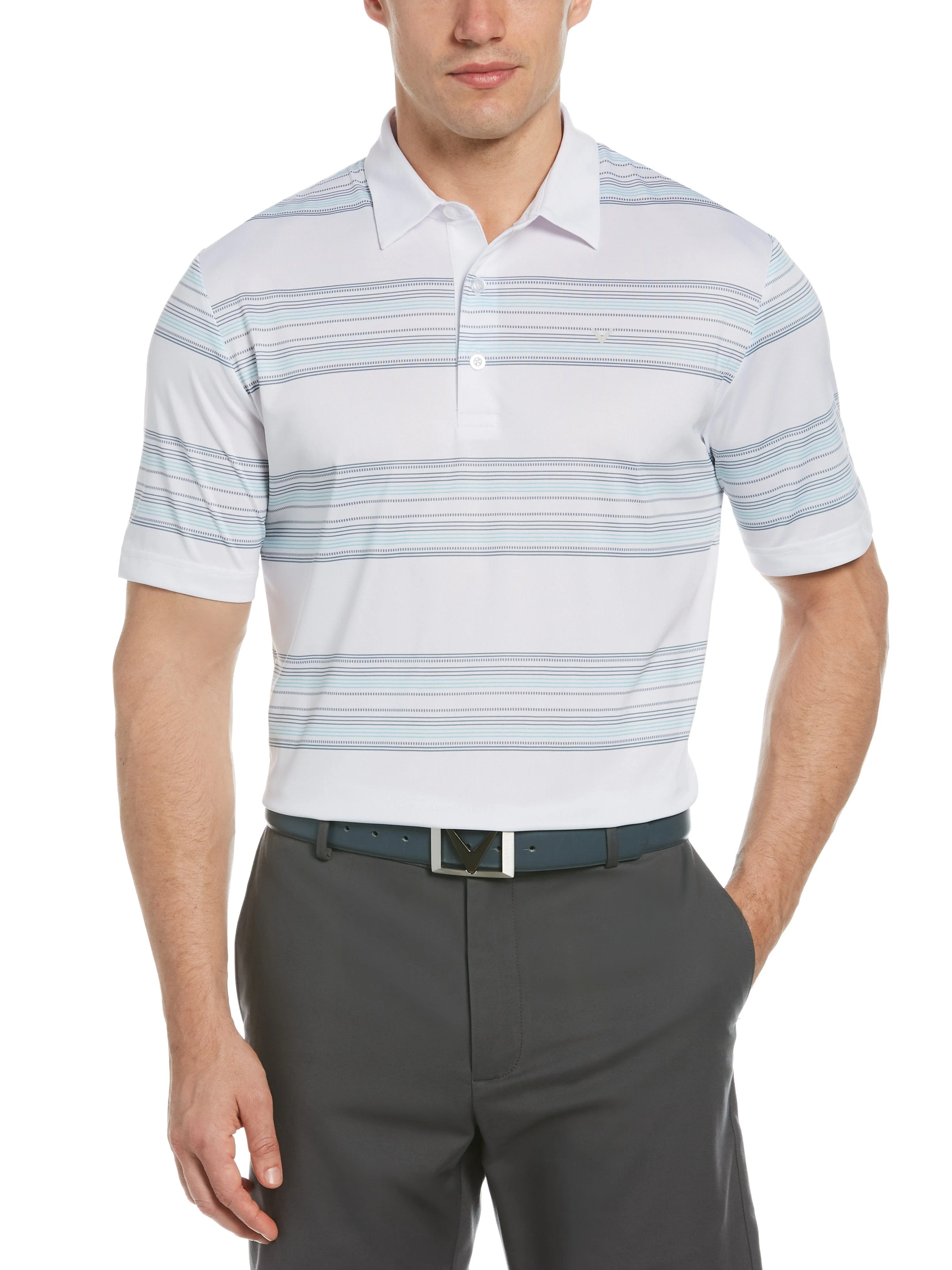 Big & Tall Stripe Polo