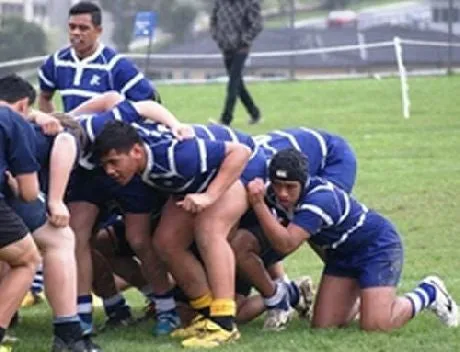 St Patrick's College Rugby Socks